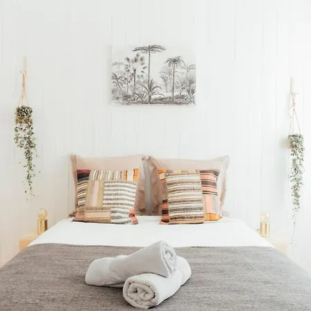 Apartamento Coachella Vintage Chic In The Heart Of St Charles